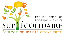 sup removebg preview